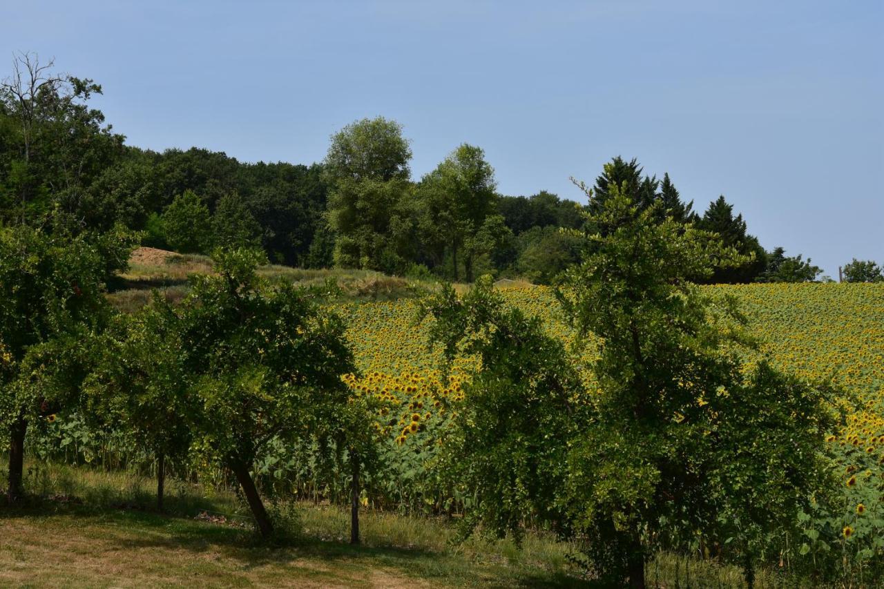 Domaine De Calbiac Bed and Breakfast Dolmayrac Εξωτερικό φωτογραφία