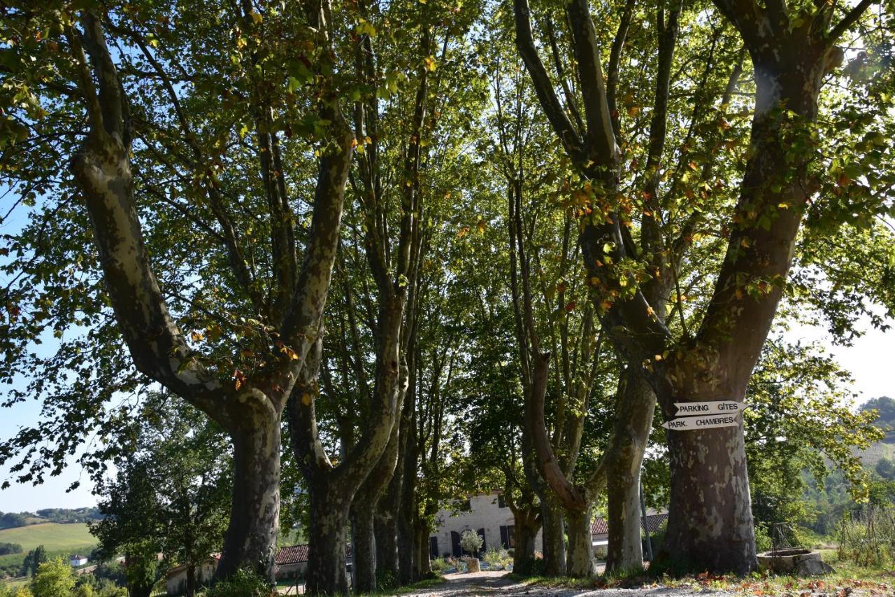 Domaine De Calbiac Bed and Breakfast Dolmayrac Εξωτερικό φωτογραφία